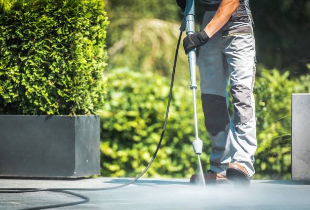 Best Roof Washing  in Mount Airy, NC